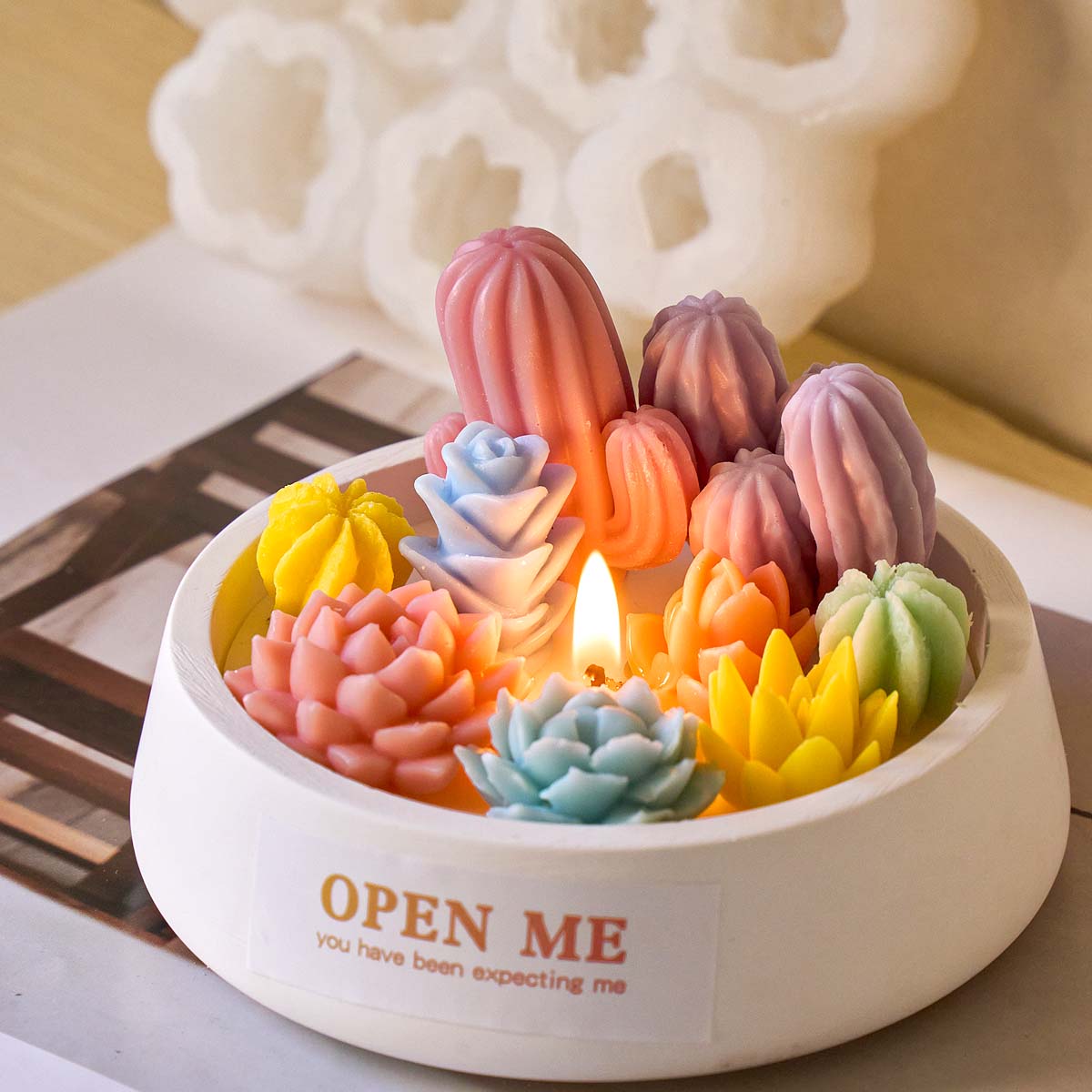 3D Succulent Kit Silicone Cand - Soap Making Book For Beginners ulasan dan harga